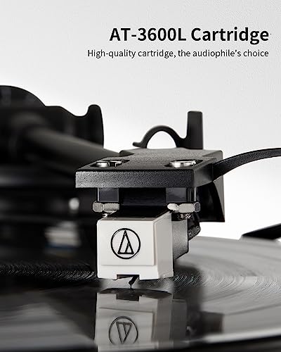 ANGELS HORN Bluetooth Turntable with High Fidelity