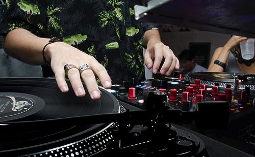 Gemini Sound Tt-4000 High Torque DJ Turntable