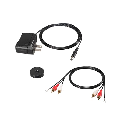 Audio-Technica LPW30BK Manual Belt-Drive Turntable