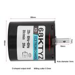 Adjustable 220V Permanent Magnet Synchronous Motor