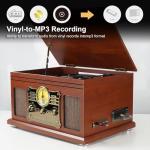 10-in-1 Bluetooth Vinyl Record Player & Turntable
