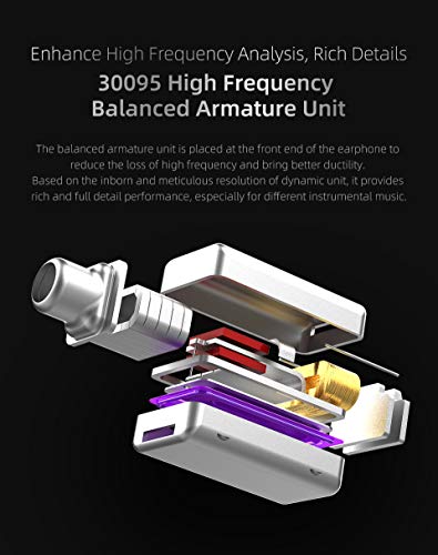 KZ ZST X Dual Driver Wired Earbuds for DJs