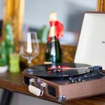 Diamond Stylus Replacement Needle for Turntables