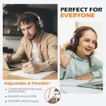 Ailihen C8 Foldable Wired Headphones with Mic