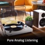 Fluance RT81 Elite Vinyl Turntable with Cartridge