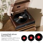 Bluetooth Vinyl Record Player with Built-in Speakers