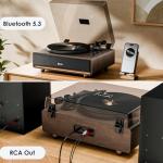 Bluetooth Vinyl Record Player with Built-in Speakers