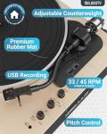 Bluetooth Record Player with USB and Speakers
