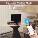 Bluetooth Portable Vinyl Turntable with Built-in Speaker