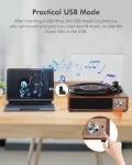 VOKSUN Bluetooth Vinyl Turntable with Built-in Speaker
