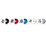 Pioneer DJ Mixer Accessory - White RB-VD2-WPDJ