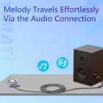 Lightning to RCA Audio Cable for DJ Gear