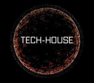 4000 Tech House MP3s USB for DJs