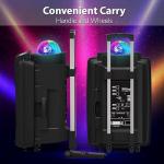 Pyle 30cm Bluetooth DJ Party Speaker with Lights