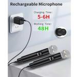 Dual Wireless Microphone System for Karaoke and Events
