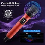 FerBuee Dual Wireless Microphone System for DJs