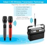 FerBuee Dual Wireless Microphone System for DJs