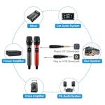 FerBuee Dual Wireless Microphone System for DJs