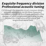 Hybrid 10 Driver In-Ear Monitors for Musicians & DJs