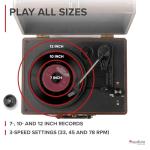 Audizio RP114W Retro Portable Vinyl Record Player