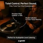 Gemini Sound TT-5000 USB Direct-Drive Turntable