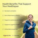 Fisetin 100mg - 60 Capsules for Anti-Aging