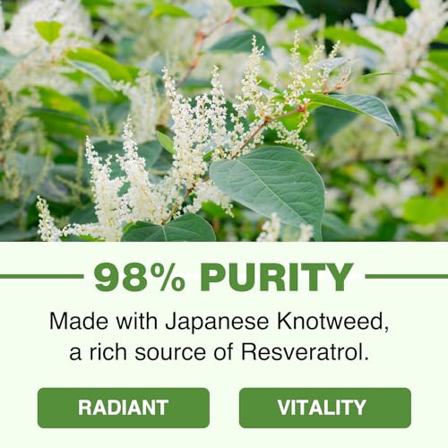 1200mg Pure Trans-Resveratrol Softgels for Anti-Aging