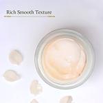 Blue Nectar Anti Aging Cream with Vitamin C