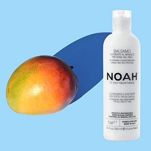 Nourishing Mango & Rice Conditioner for All Hair