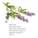 Natural Anti-Aging Gel for Intimate Care 40ML