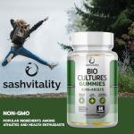 Probiotic Gummies for Immune and Digestive Support