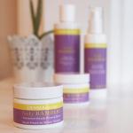 DERMAdoctor Lucky Bamboo Probiotic Wasabi Serum