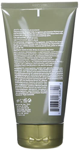 Origins Anti-Aging Plant Cleanser