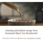 Pyunkang Yul Black Tea Anti-Aging Toner 130ml