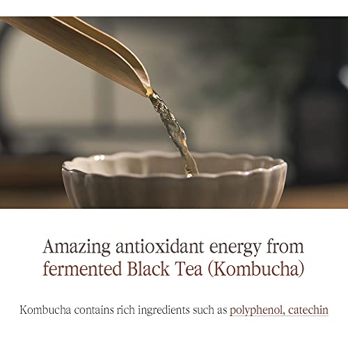 Pyunkang Yul Black Tea Anti-Aging Toner 130ml