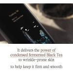 Pyunkang Yul Black Tea Anti-Aging Toner 130ml