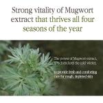 Pyunkang Yul Black Tea Anti-Aging Toner 130ml