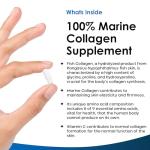 Pure Marine Collagen with Hyaluronic Acid & Vitamin C