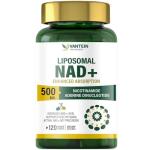 NAD+ 500mg Supplements for Energy and Anti-Aging