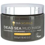 PraNaturals Dead Sea Mud Mask for Smooth Skin
