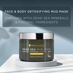 PraNaturals Dead Sea Mud Mask for Smooth Skin