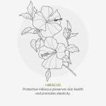 Green People Age Defy+ Hydrating Cream Cleanser