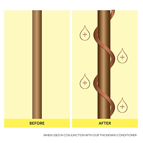 Absolute Collagen Thickening Shampoo for Fine Hair