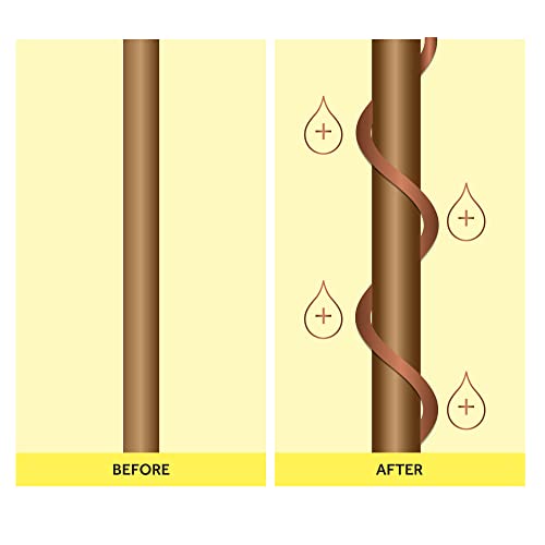 Absolute Collagen Hair Volumizing Shampoo & Conditioner Set