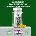 Pineapple Probiotic Gummies for Gut and Immune Health