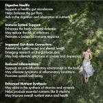 Pineapple Probiotic Gummies for Gut and Immune Health