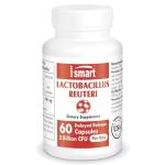 Lactobacillus Reuteri Probiotic - 60 Capsules
