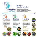 Brain Support Multivitamin for Anti-Aging - 60 Capsules