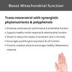 High Purity Resveratrol 750mg Anti-Aging Capsules