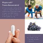 High Purity Resveratrol 750mg Anti-Aging Capsules